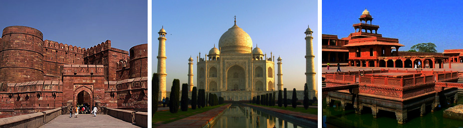 Taj Mahal Trips
