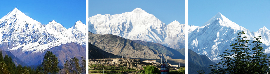 HIMALAYAN QUEEN